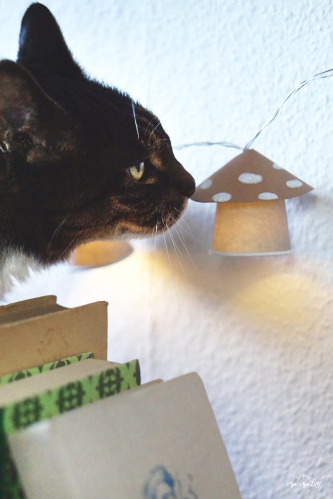 Katze schnuppert an neuer Lichterkette