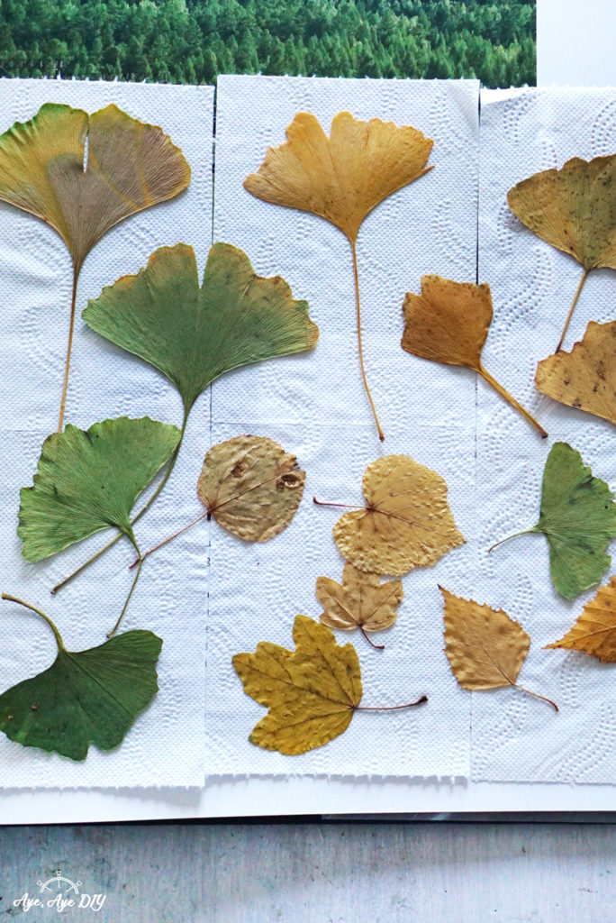 Herbstbasteln Kinder - mit Blättern